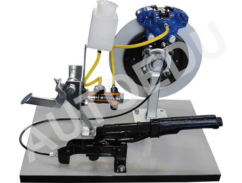 DISC and DRUM BRAKE cutaway Educational Trainer AE412030M AutoEDU