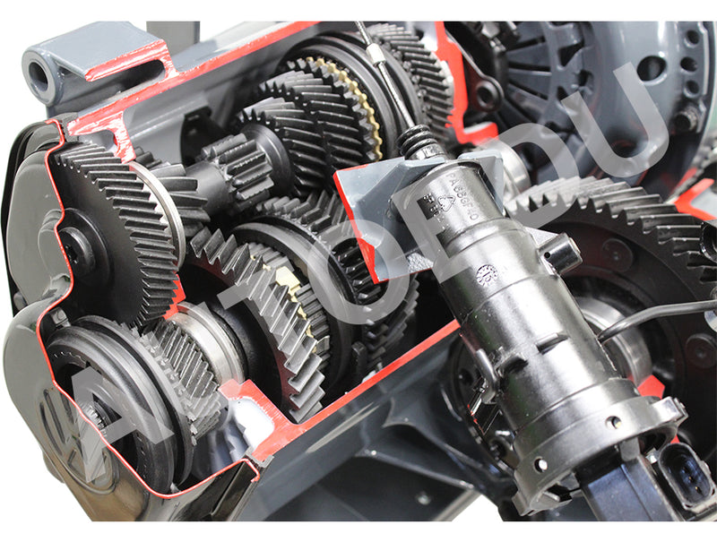 Robotised Tip-tronic Gearbox Cutaway AE411066M AutoEDU