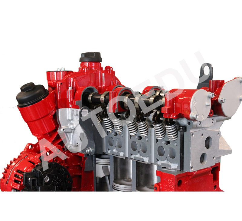 Petrol DOHC engine cutaway Educational Trainer IVDB03 AutoEDU