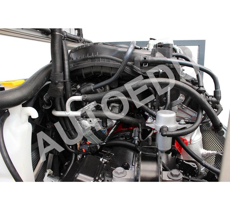 Petrol engine system (MPI) AutoEDU Automotive training equipment