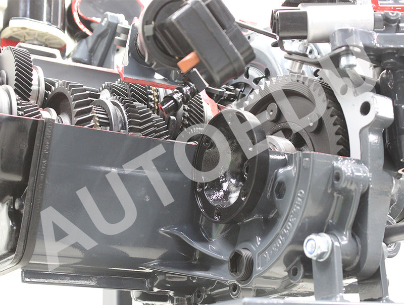 Robotised Tip-tronic Gearbox Cutaway AE411066M AutoEDU