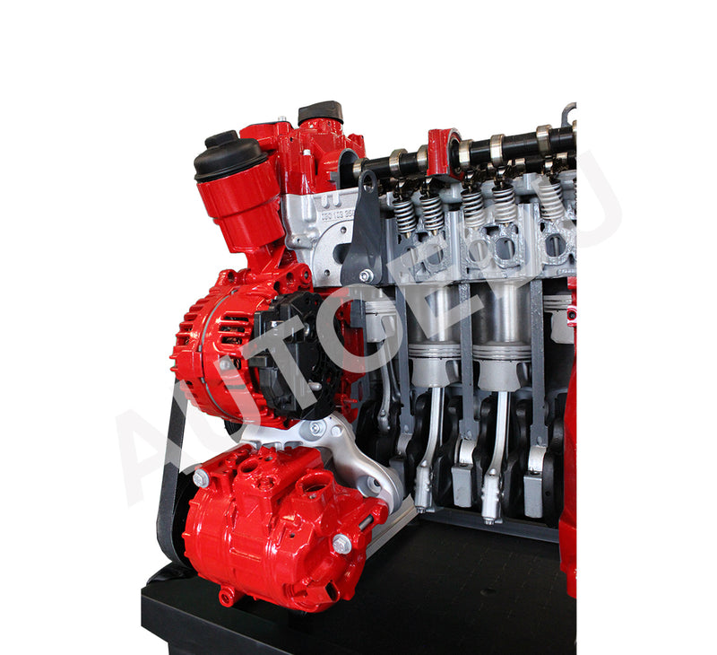 Petrol DOHC engine cutaway Educational Trainer IVDB03 AutoEDU