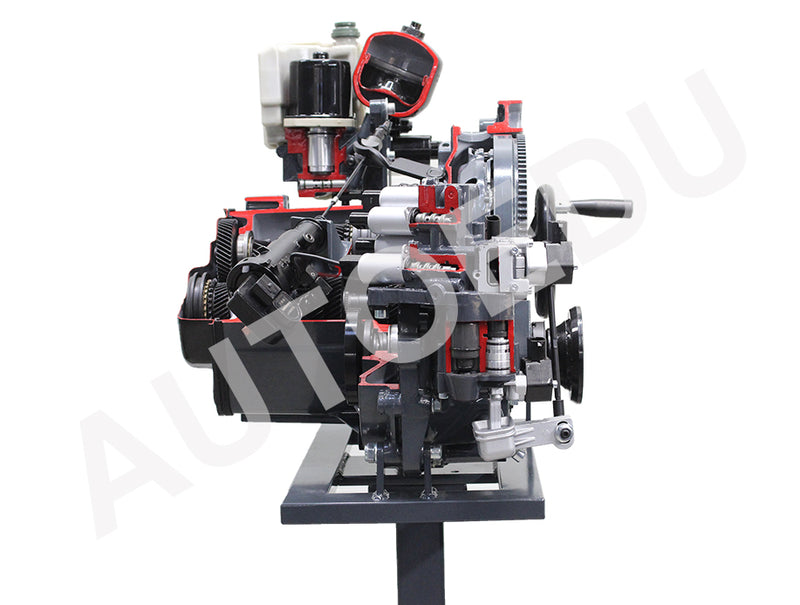 Robotised Tip-tronic Gearbox Cutaway AE411066M AutoEDU