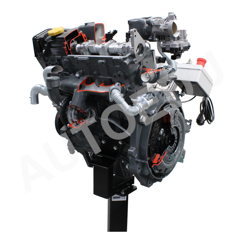 Fiat / Alfa romeo 8 valve engine with turbo diesel common-rail cutaway Educational Trainer AE36015E AutoEDU