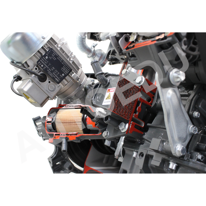 Fiat / Alfa romeo 8 valve engine with turbo diesel common-rail cutaway Educational Trainer AE36015E AutoEDU