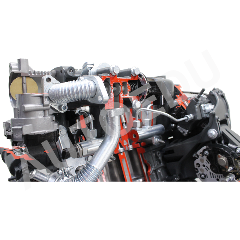 Fiat / Alfa romeo 8 valve engine with turbo diesel common-rail cutaway Educational Trainer AE36015E AutoEDU