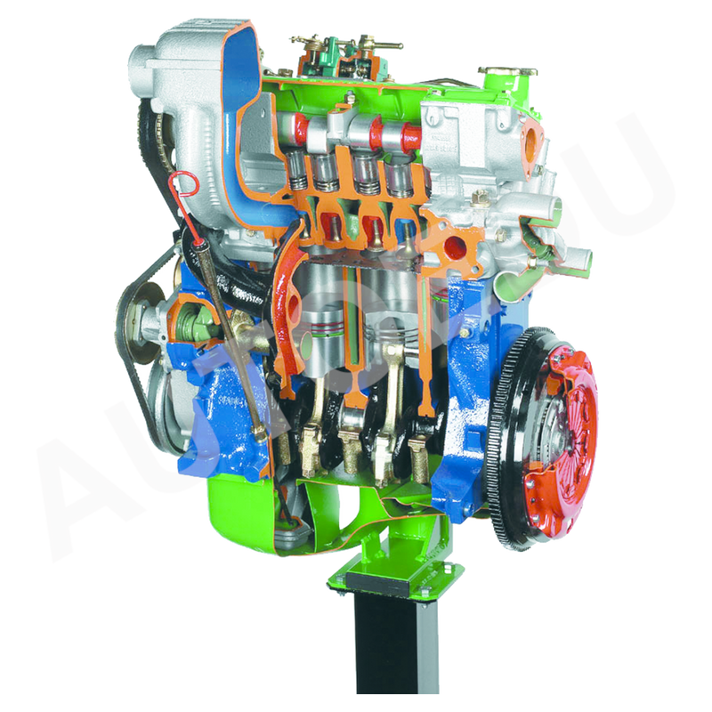 4 Cylinder diesel engine cutaway AE36065M AutoEDU