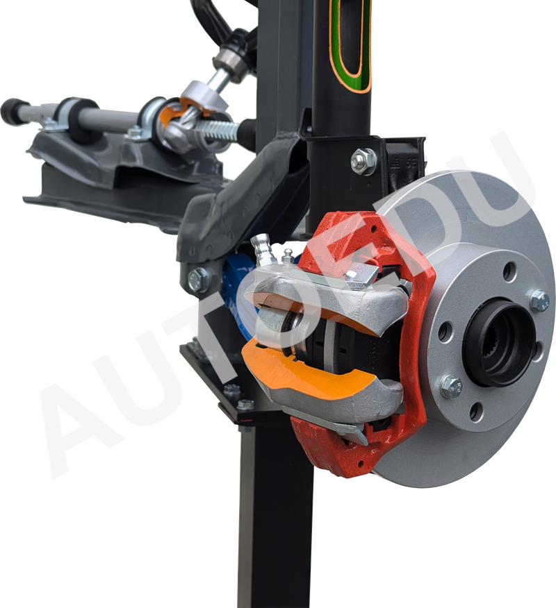 Sectioned Front Suspension Unit Educational Trainer AE411210M AutoEDU Automotive training equipment