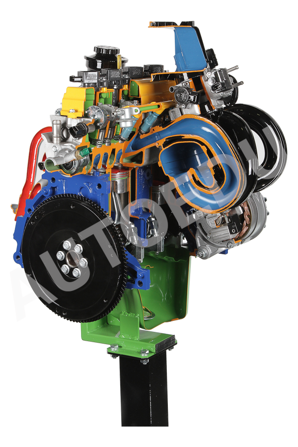 Toyota petrol (gasoline) engine with VVT.i injection cutaway AE45181M AutoEDU automotive training equipment